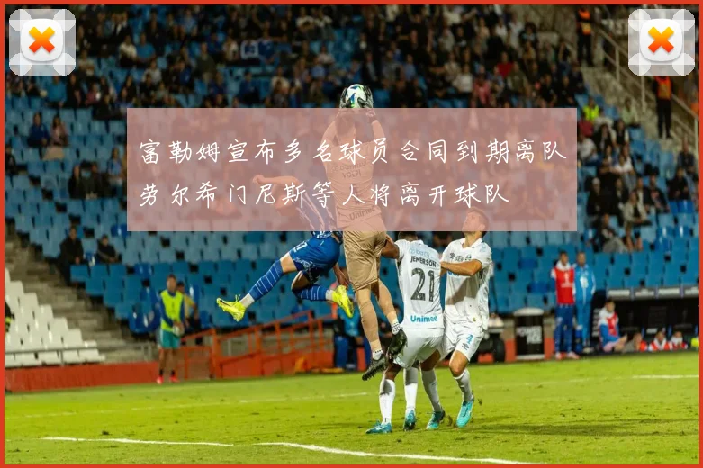 富勒姆宣布多名球员合同到期离队劳尔希门尼斯等人将离开球队